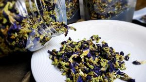 Gửi hoa đậu biếc khô 